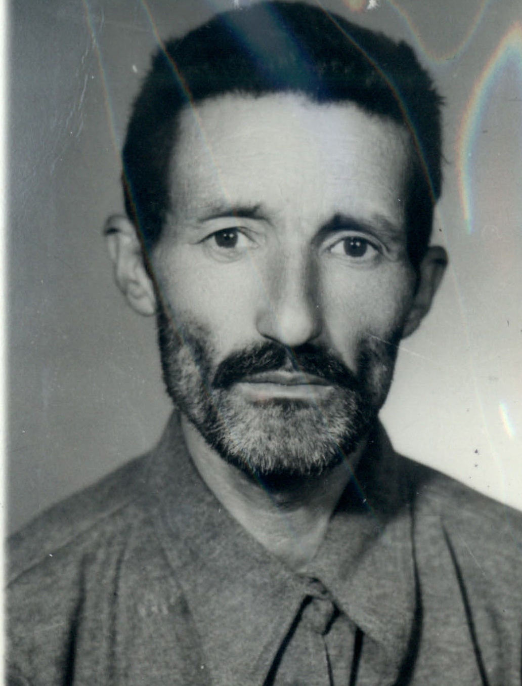 شهید محمد گرجی